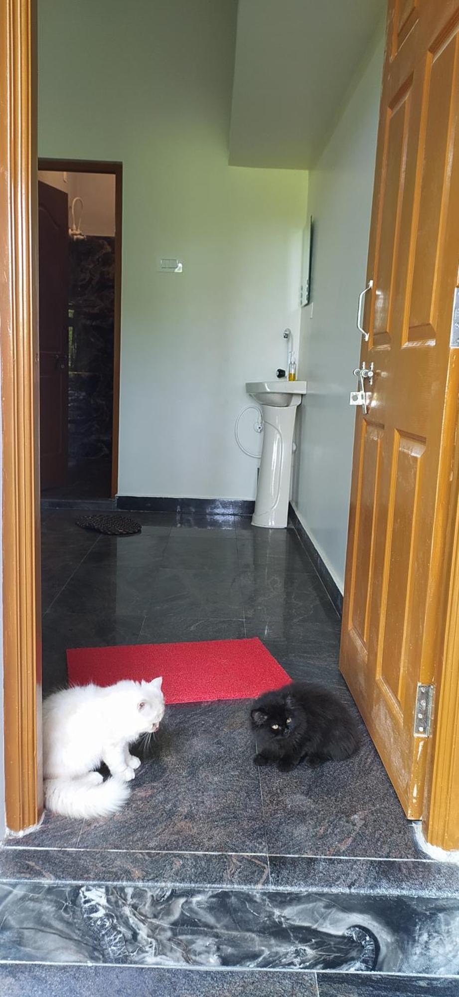 Ratnakar Arundekar Home Stay In Beach Side Ac Room Gokarna  Esterno foto